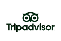 tripadvisor logo